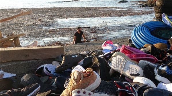 Denizin üstünü ağaçlar kapladı 15