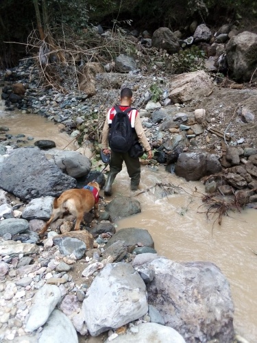 Trabzon TTAKE Giresun’da kurtarma çalışmalarına katılıyor.  27 Ağustos 2020 16