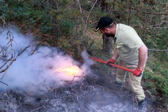 Doğu Karadeniz'de orman yangını 5