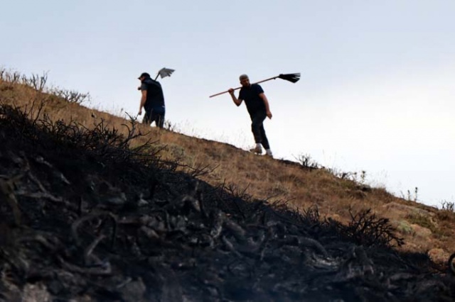 Doğu Karadeniz'de orman yangını 2