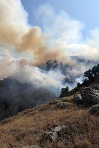 Doğu Karadeniz'de orman yangını 3