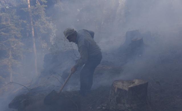 Artvin'de orman yangını 1