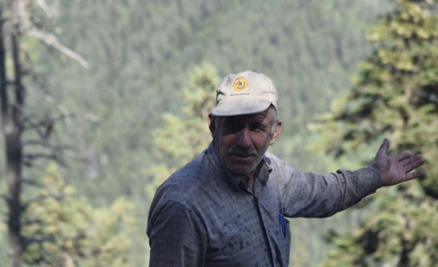 Artvin'de orman yangını 3