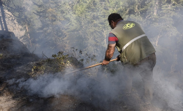 Artvin'de orman yangını 4