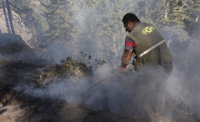 Artvin'de orman yangını 6