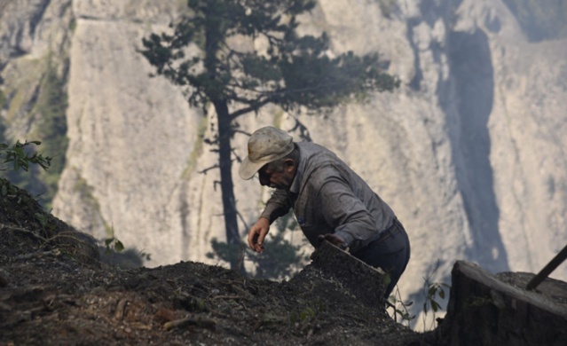Artvin'de orman yangını 5
