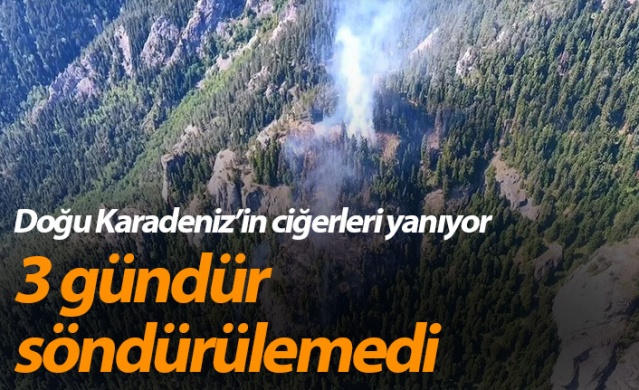 Artvin’deki orman yangını 3 gündür devam ediyor 1