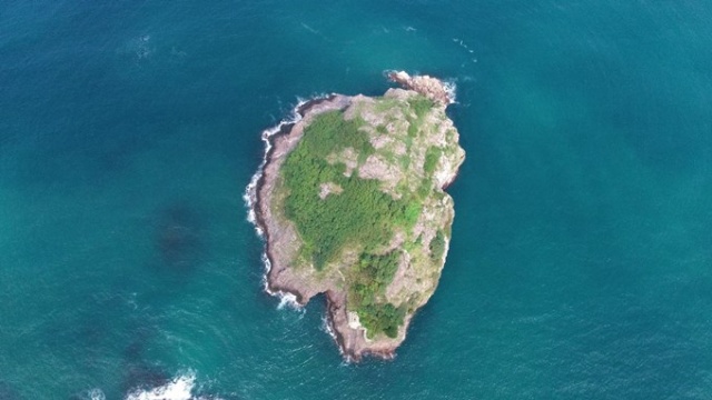 Kuş cenneti: “Hoynat Adası” 1