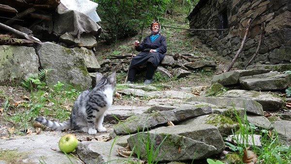 Trabzon'da yaylada tek başına yaşayan ‘Robinson Nine’nin hayatı belgeselde 13