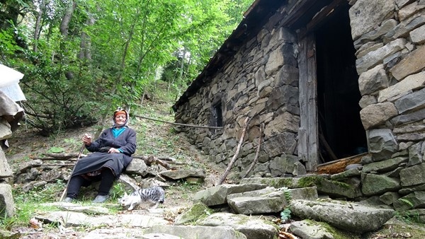 Trabzon'da yaylada tek başına yaşayan ‘Robinson Nine’nin hayatı belgeselde 11