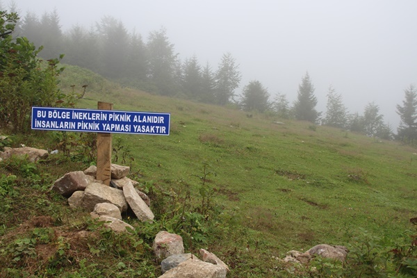 Piknikçilere tabelalı uyarı! Bakın ne yazdılar 2