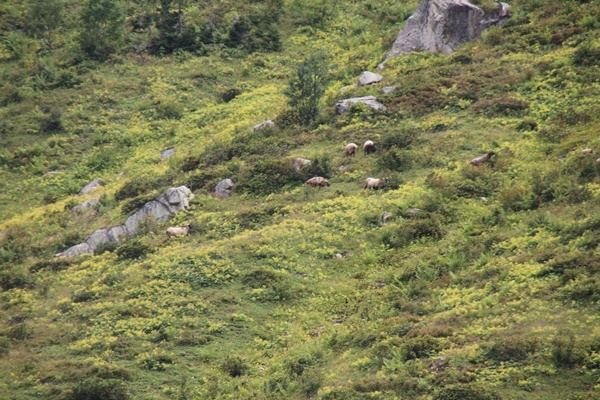 Piknikçilere tabelalı uyarı! Bakın ne yazdılar 6