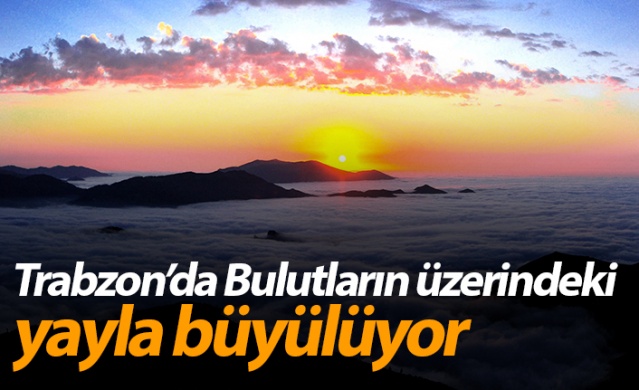Trabzon'da Bulutların üzerindeki yayla, ziyaretçilerini cezbediyor 1