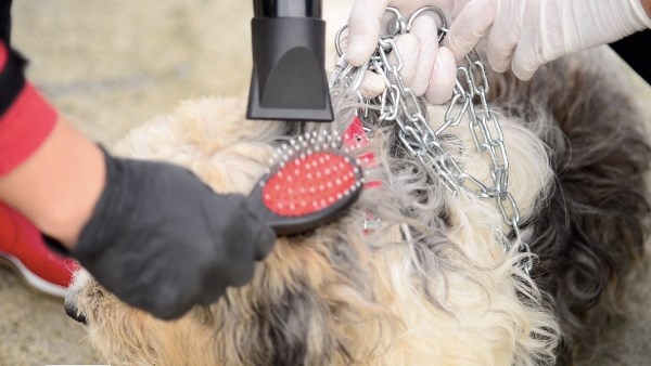 Trabzon'da özel etkinlik! Bu kez onlar podyuma çıktı 4