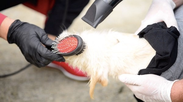 Trabzon'da özel etkinlik! Bu kez onlar podyuma çıktı 3