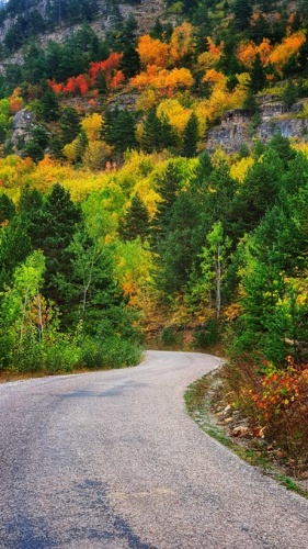 Gümüşhane'de dağlar rengarenk 9