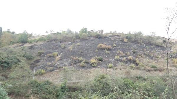 Trabzon'daki yangının hasarı gün ağırınca ortaya çıktı 2