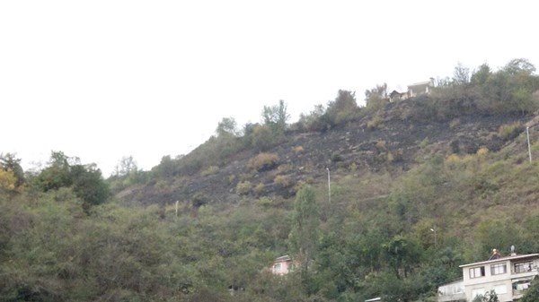 Trabzon'daki yangının hasarı gün ağırınca ortaya çıktı 4