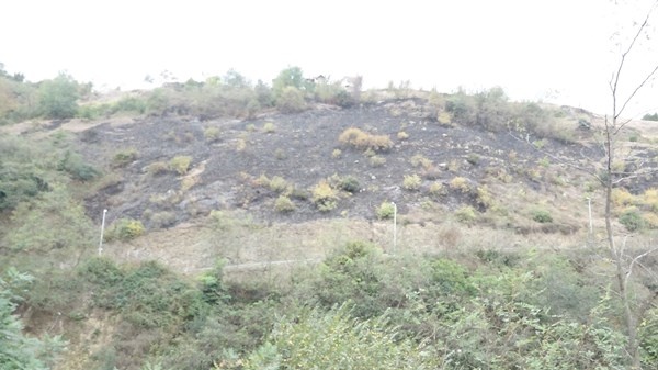 Trabzon'daki yangının hasarı gün ağırınca ortaya çıktı 5
