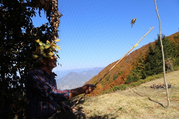 Artvin'de sezonun son atmaca avı yapıldı 6