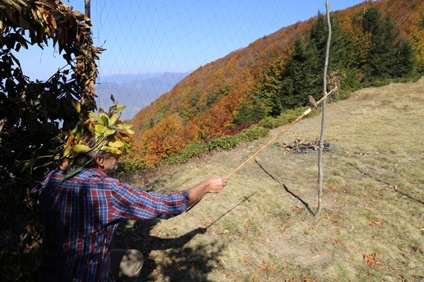 Artvin'de sezonun son atmaca avı yapıldı 7