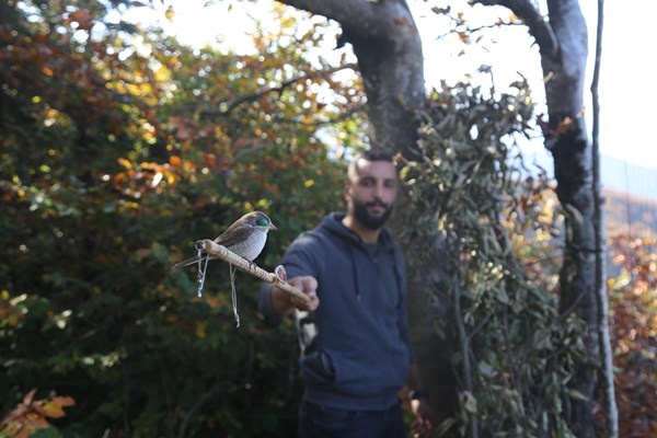 Artvin'de sezonun son atmaca avı yapıldı 16