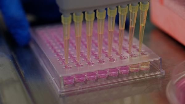 Koronavirüs aşısı müjdesi! 2