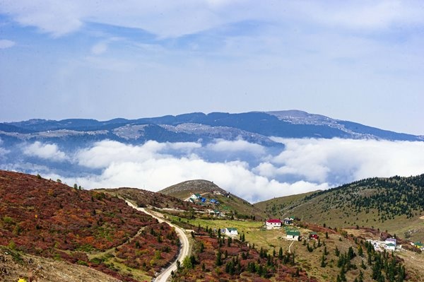 Haçka Yaylası'nda sonbahar güzelliği 2