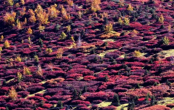 Haçka Yaylası'nda sonbahar güzelliği 13