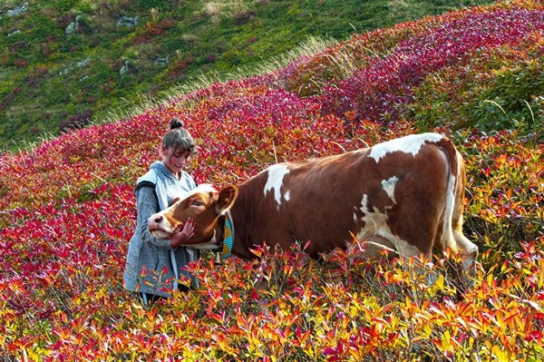 Haçka Yaylası'nda sonbahar güzelliği 9