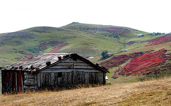 Haçka Yaylası'nda sonbahar güzelliği 7