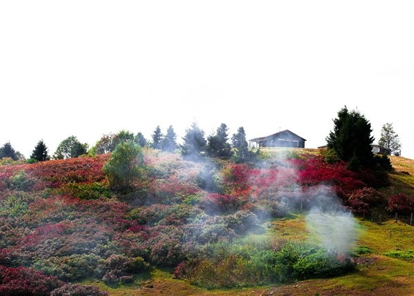 Haçka Yaylası'nda sonbahar güzelliği 5