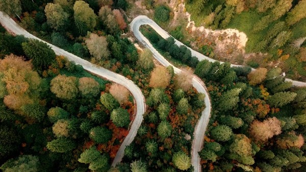Gümüşhane'nin Örümcek Ormanları rengarenk 3