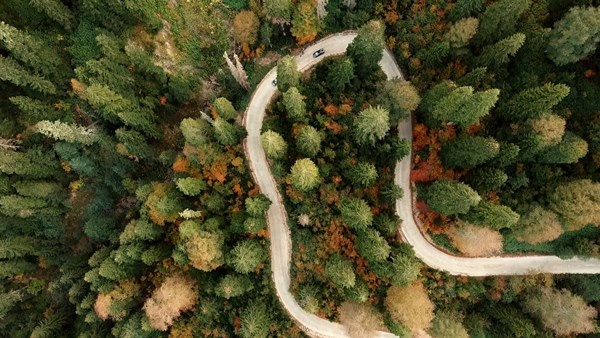 Gümüşhane'nin Örümcek Ormanları rengarenk 7