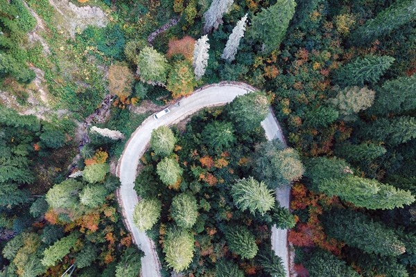 Gümüşhane'nin Örümcek Ormanları rengarenk 9