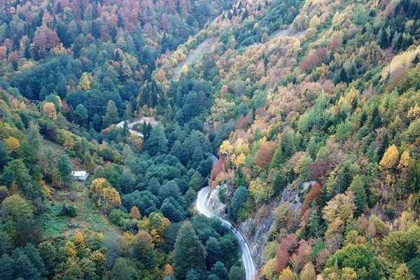 Gümüşhane'nin Örümcek Ormanları rengarenk 6