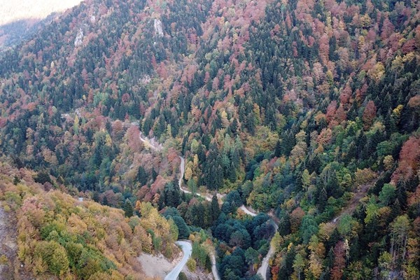 Gümüşhane'nin Örümcek Ormanları rengarenk 8