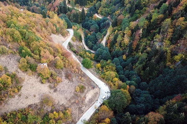 Gümüşhane'nin Örümcek Ormanları rengarenk 10