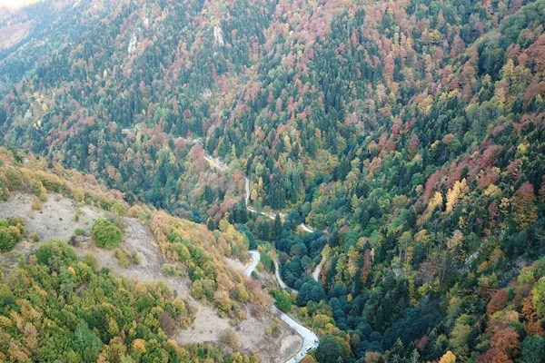 Gümüşhane'nin Örümcek Ormanları rengarenk 11