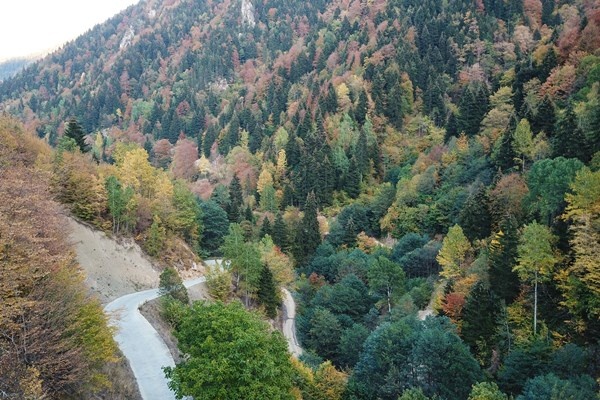Gümüşhane'nin Örümcek Ormanları rengarenk 13