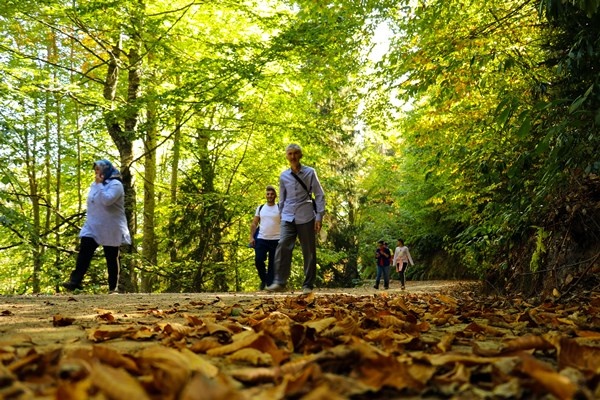 Gümüşhane'nin Örümcek Ormanları rengarenk 14