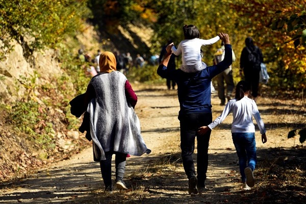 Gümüşhane'nin Örümcek Ormanları rengarenk 12