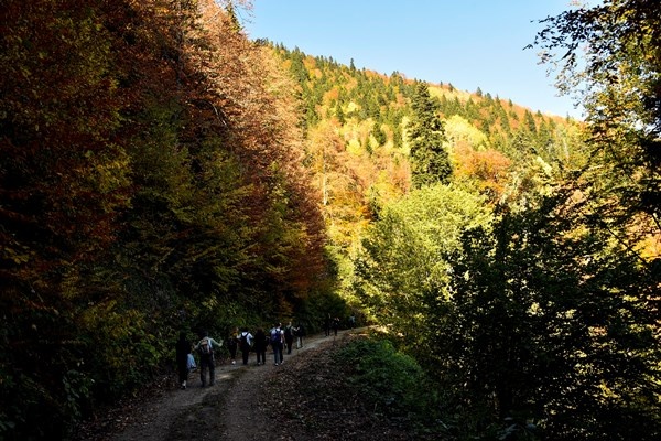 Gümüşhane'nin Örümcek Ormanları rengarenk 16