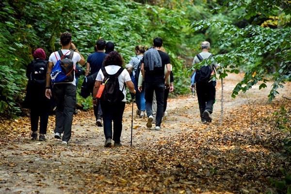 Gümüşhane'nin Örümcek Ormanları rengarenk 20