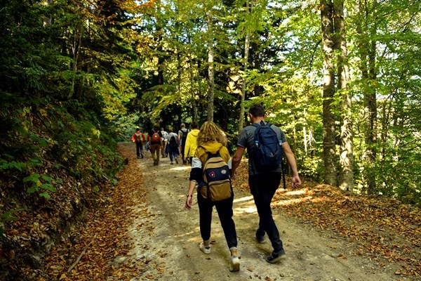 Gümüşhane'nin Örümcek Ormanları rengarenk 15
