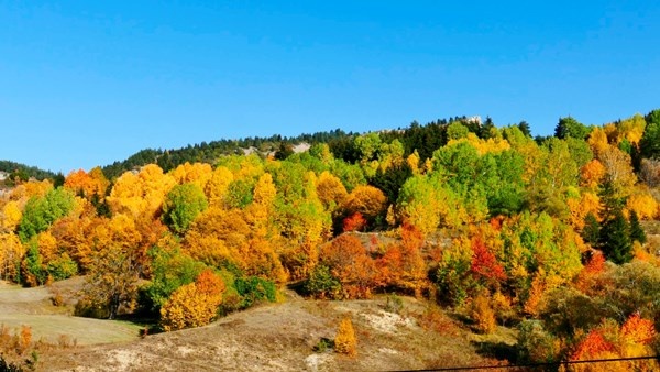 Sakin şehir Şavşat’ın sonbahar güzelliği 2