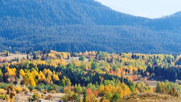 Sakin şehir Şavşat’ın sonbahar güzelliği 4