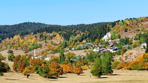Sakin şehir Şavşat’ın sonbahar güzelliği 7