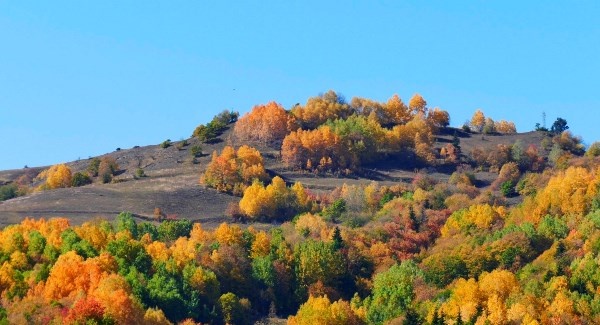 Sakin şehir Şavşat’ın sonbahar güzelliği 6