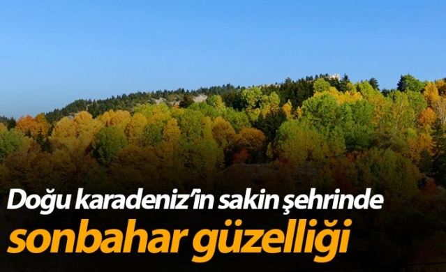 Sakin şehir Şavşat’ın sonbahar güzelliği 1